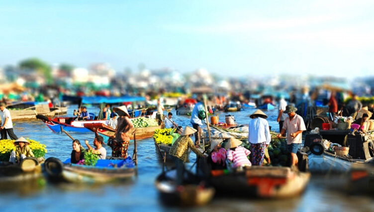 Mekong Delta Tour from Phu My Port