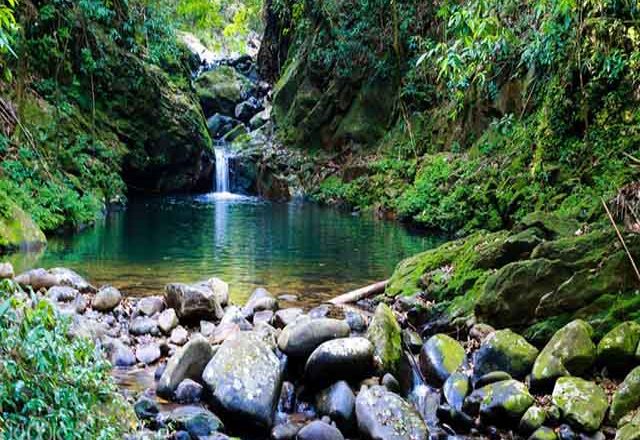 Bach Ma National Park in Hue City 1 bach ma national park tour