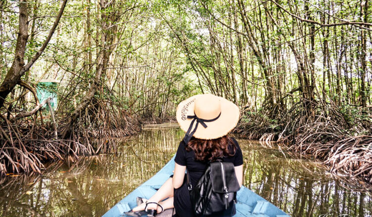 Can Gio Mangrove Forest Tour