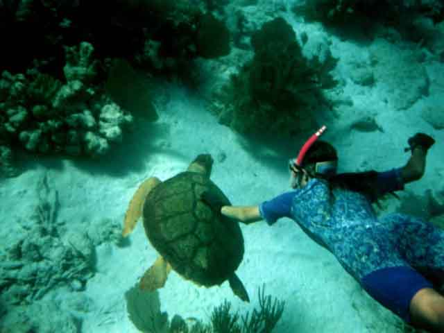 Cham Island Snorkeling Tour