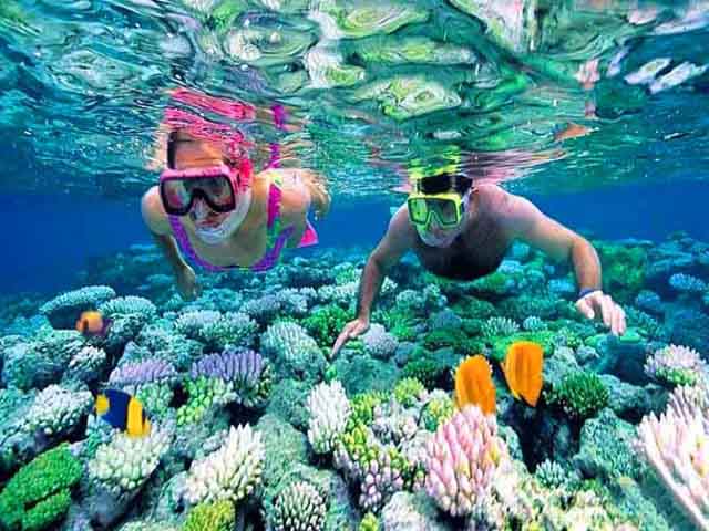 Cham Island Snorkeling Tour