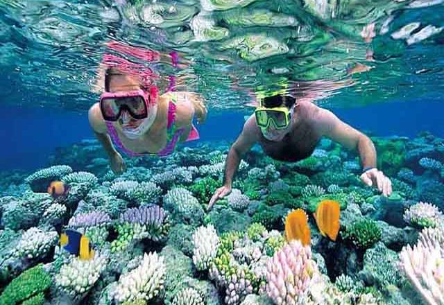 Cham Island Snorkeling Tour 1 cham island snorkeling tour