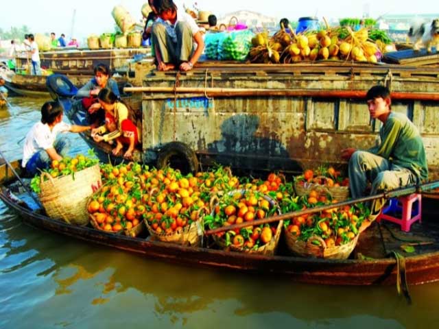 mekong delta tour