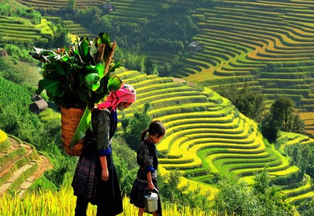 north vietnam tour 8 days 7 nights
