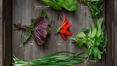 Vietnamese Spices And Herbs 8 vietnamese herbs