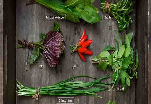 vietnamese herbs